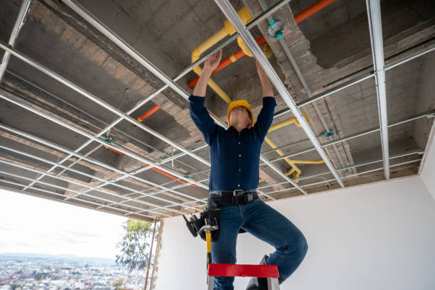 Best Plumbing Services Near Me  in Centerville, IN