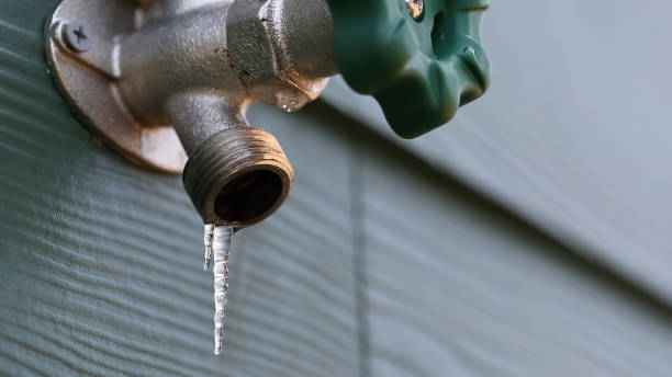 Best Emergency Plumber  in Centerville, IN
